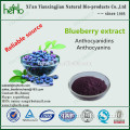 pure natural blueberry juice powder